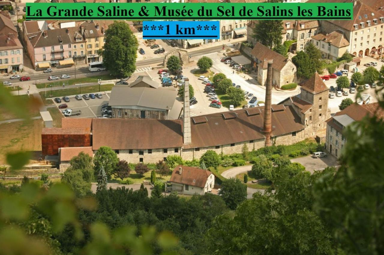 Appartement Cosy 36 Salins Les Bains Zewnętrze zdjęcie